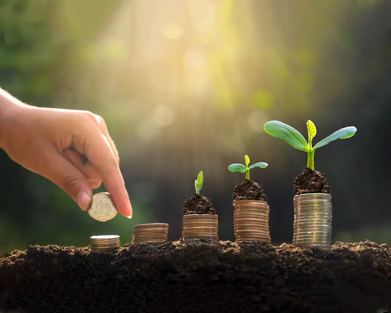 Iadei Gazze - مؤسسة إعادة غَـــزَّة